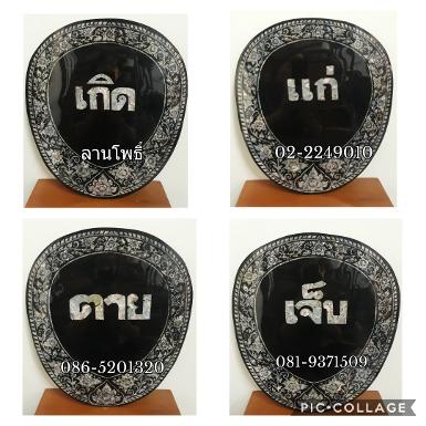 ตาลปัตรมุกเกิด แก่ เจ็บ ตาย